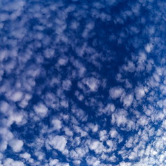 A lot of beautiful small fluffy clouds with blue sky