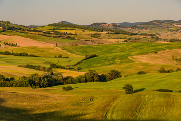 Fototapeta premium colors of the Tuscan countryside in the province of Siena