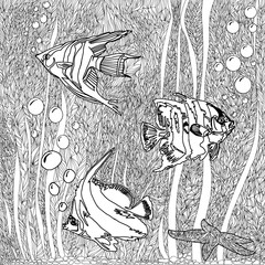 Sea life scuba diving illustration. Page for adult coloring book. The seabed with fish and algae in doodle style. Coloring book page design for adults and kids