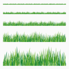 GREEN GRASS VECTOR SET