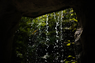 A small waterfall flows down from above. Sochi, Arboretum.