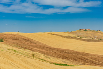 Fototapeta na wymiar colors of the Tuscan countryside in the province of Siena