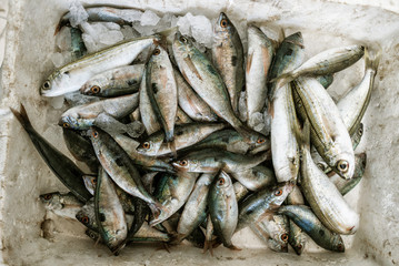 Various fresh sea fishes on ice at market stall. Top view.