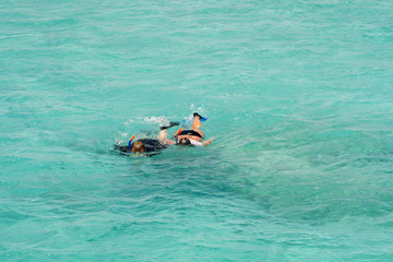 Diving in the Red Sea in Egypt © moniadk