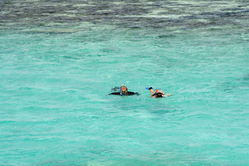 Diving in the Red Sea in Egypt © moniadk
