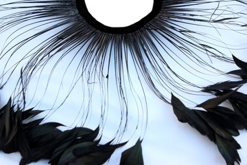 Frame of black feathers on a white background. Emo style frame made of boa (feather scarf) isolated on white. exotic soft beautiful black feather