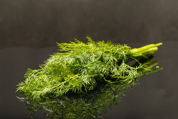 Fototapeta premium Fresh dill