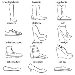 vector flat line icon set of woomen designer style shoes