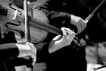 Dettaglio di un violino durante un concerto 
