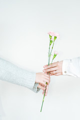 カーネーションを贈る手