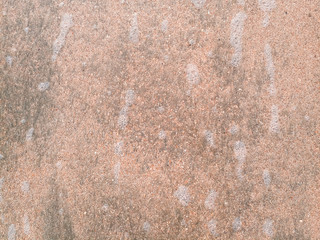 background is the texture of the sea sand on the beach. Sand shell.