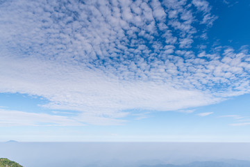 DaWei Mountain National Forest Park of Hunan