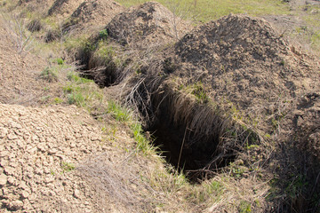 new dug graves, grave cemetery for those infected by coronavirus, Ukraine Dnieper city
