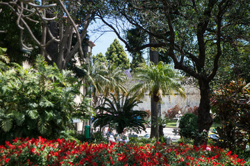 PORTUGAL MADEIRA FUNCHAL JARDIM MUNICIPAL
