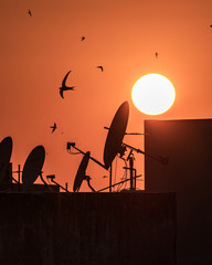 le seul plan de prendre le coucher de soleil depuis la fen&ecirc;tre de ma maison pendant la quarantaine. 
