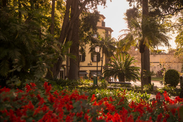 Fototapeta premium PORTUGAL MADEIRA FUNCHAL JARDIM MUNICIPAL