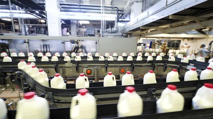 Plastic milk bottles with milk on production line at dairy factory