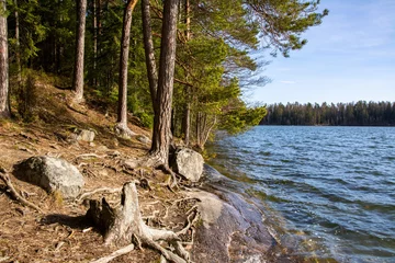 Fotobehang Chocoladebruin View to the shore of Lake Vittrask in spring, Kirkkonummi, Finland  © hivaka