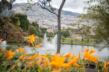 PORTUGAL MADEIRA FUNCHAL PARK SANTA CATARINA