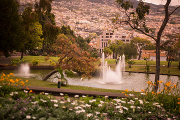 Naklejka premium PORTUGAL MADEIRA FUNCHAL PARK SANTA CATARINA
