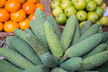 PORTUGAL MADEIRA FUNCHAL MERCADO LAVRADORES