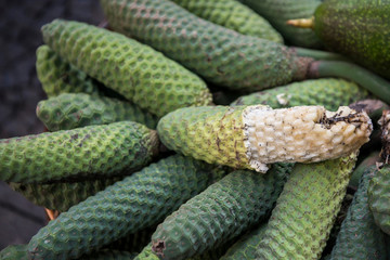 PORTUGAL MADEIRA FUNCHAL MERCADO LAVRADORES