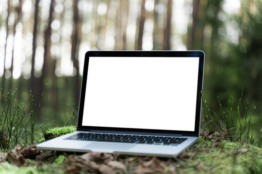Laptop outside concept. Empty copy space, blank screen mockup. Soft focus laptop in nature background. Ecology travel and work outside office concept.