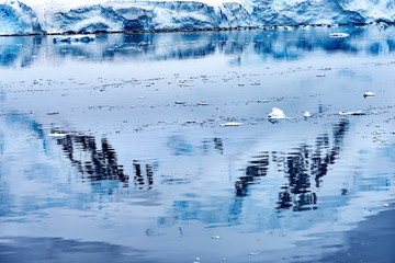 Obraz premium Snow Mountains Blue Glaciers Refection Dorian Bay Antarctica