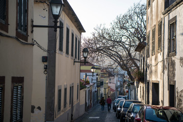Obraz premium PORTUGAL MADEIRA FUNCHAL ZONA VELHA