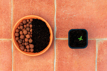 Green small plant (seedling) and bowl with dark soil and drainage balls for home gardening and organic farming. Top view and close-up . Circle and square concept.