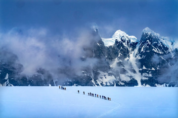 Showshoers Hikers Snow Mountains Damoy Point Antarctica © Bill Perry