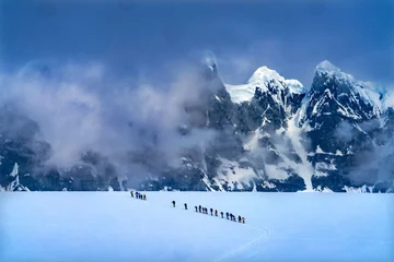 Gordijnen Showshoers Hikers Snow Mountains Damoy Point Antarctica © Bill Perry