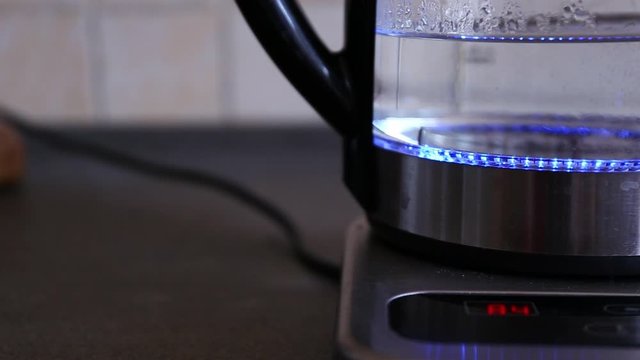 Boiling water in an illuminated modern kettle reaching 100 celsius degrees