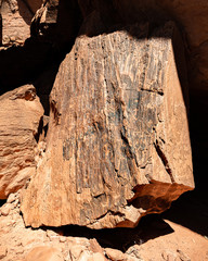 A large boulder covered in rock art known as Kirk's Newspaper Rock Petroglyph Panel in Gold Butte National Monument, Nevada, USA