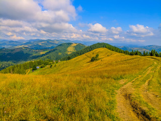 Fototapeta premium Travel and life in the Carpathian