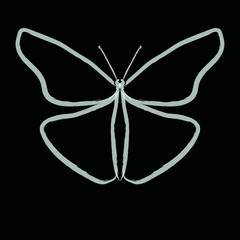 Vector white butterfly, under black background, with strokes of watercolor