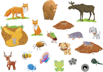 Animals and Insects