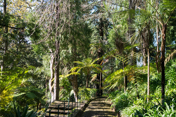 PORTUGAL MADEIRA FUNCHAL JARDIM TROPICAL