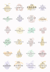 Premium Fruits, Berries, Nuts and Spices Elegant Labels Set. Abstract Vector Signs, Symbols or Logo Templates Bundle. Hand Drawn Food Sketches with Retro Typography. Vintage Emblems Collection.