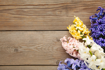 Bunch of hyacinths flower on a grey wooden background.