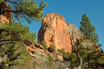 Kolob Canyon, North Zion National Park