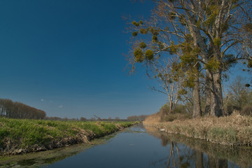 Berliner Auenlandschaft