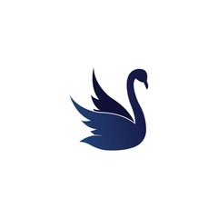 Swan logo Template vector