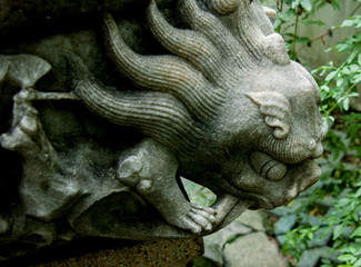Fototapeta na wymiar Garden, china