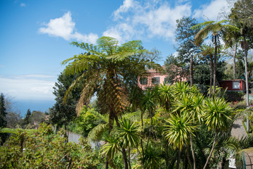 PORTUGAL MADEIRA FUNCHAL MONTE