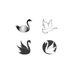 Swan logo Template vector