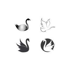 Fototapeta premium Swan logo Template vector