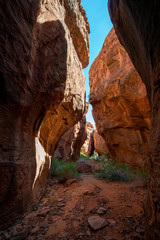 A row of multiple subway shaped contractions at Seven Keyholes Slot Canyon in Gold Butte National Monument, Clark County, Nevada, USA.