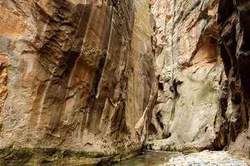 Zion Park Landscapes