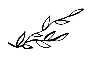 black and white spring branches on a white background. Can be used for print and design. illustration